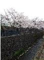 20130406